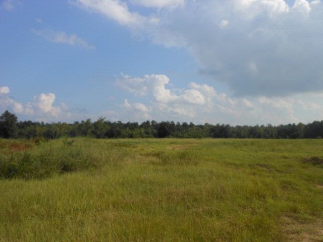 0 Hwy 15 South, Sumter, SC 29150